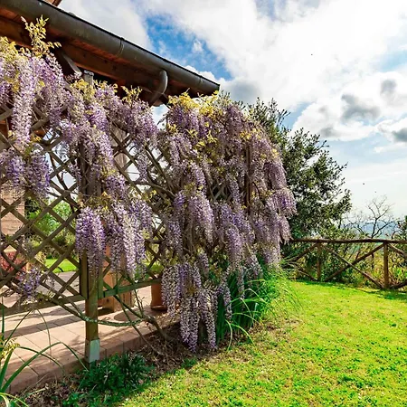 Italian Experience-glicine Holiday
